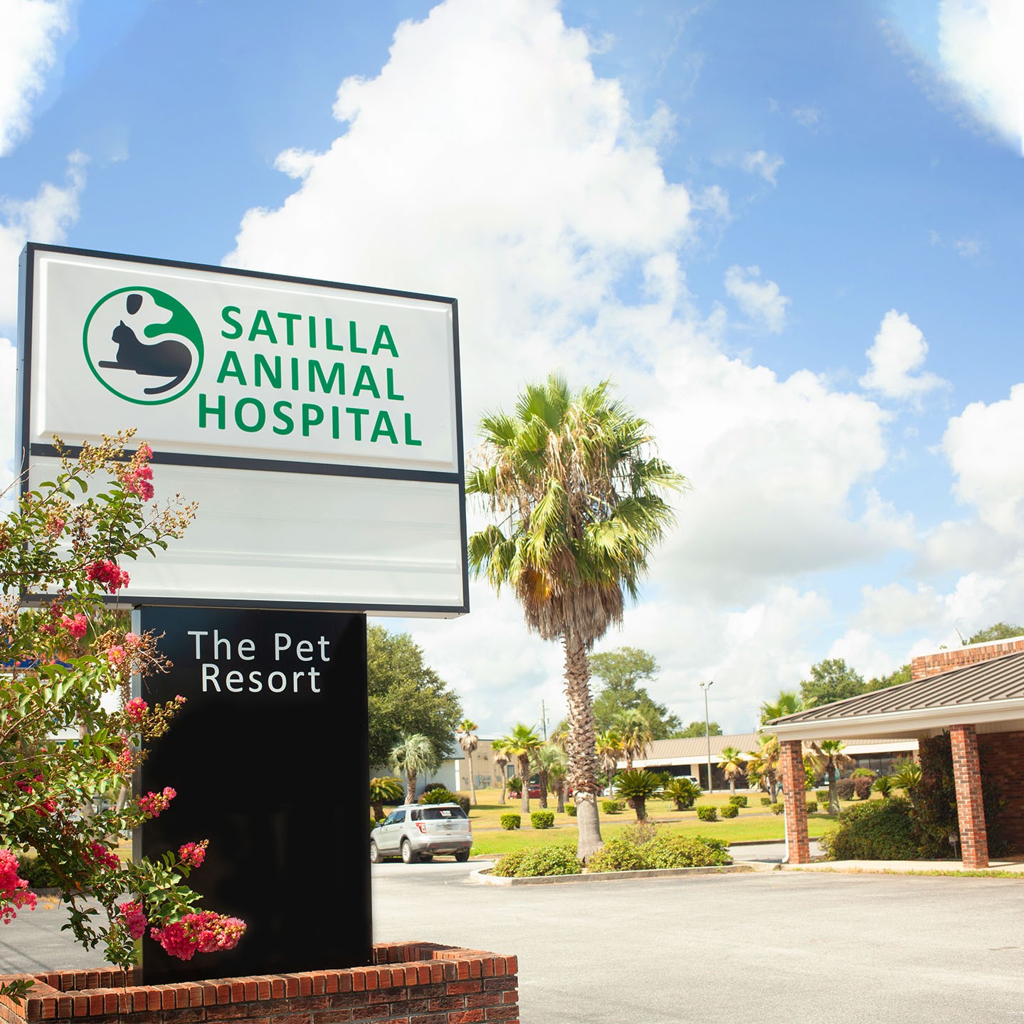 Animal Hospital Image