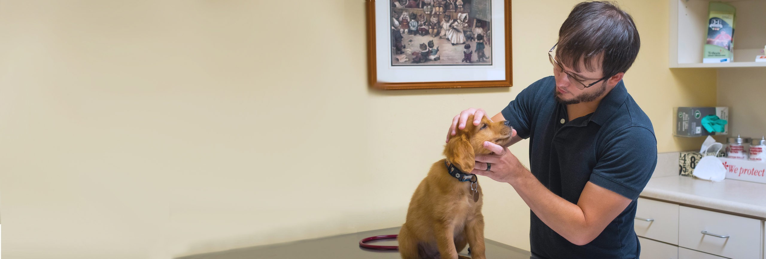 Wellness Exams Dog and Cat Veterinarians Waycross, GA