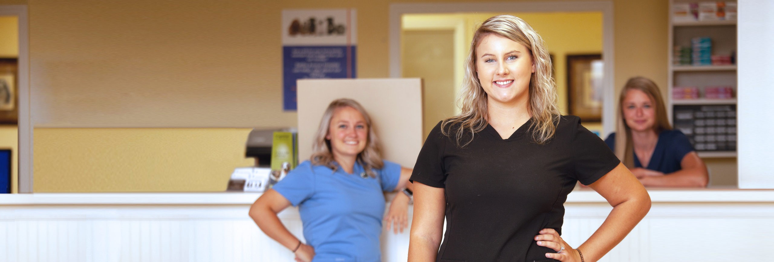 Careers Vet Clinic Jobs at Satilla Animal Hospital Waycross, GA